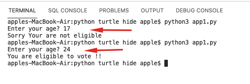 Python If-else statements 5 Python If else Statement