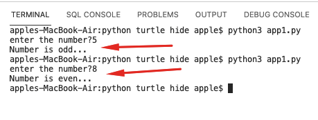 Python If-else statements 6 Python if else statement